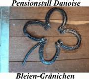 Pensionstall Danoise