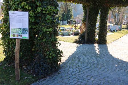 Naturnahes Friedhofareal