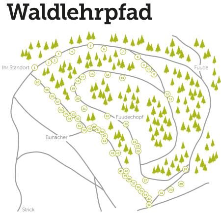 Plan Waldlehrpfad