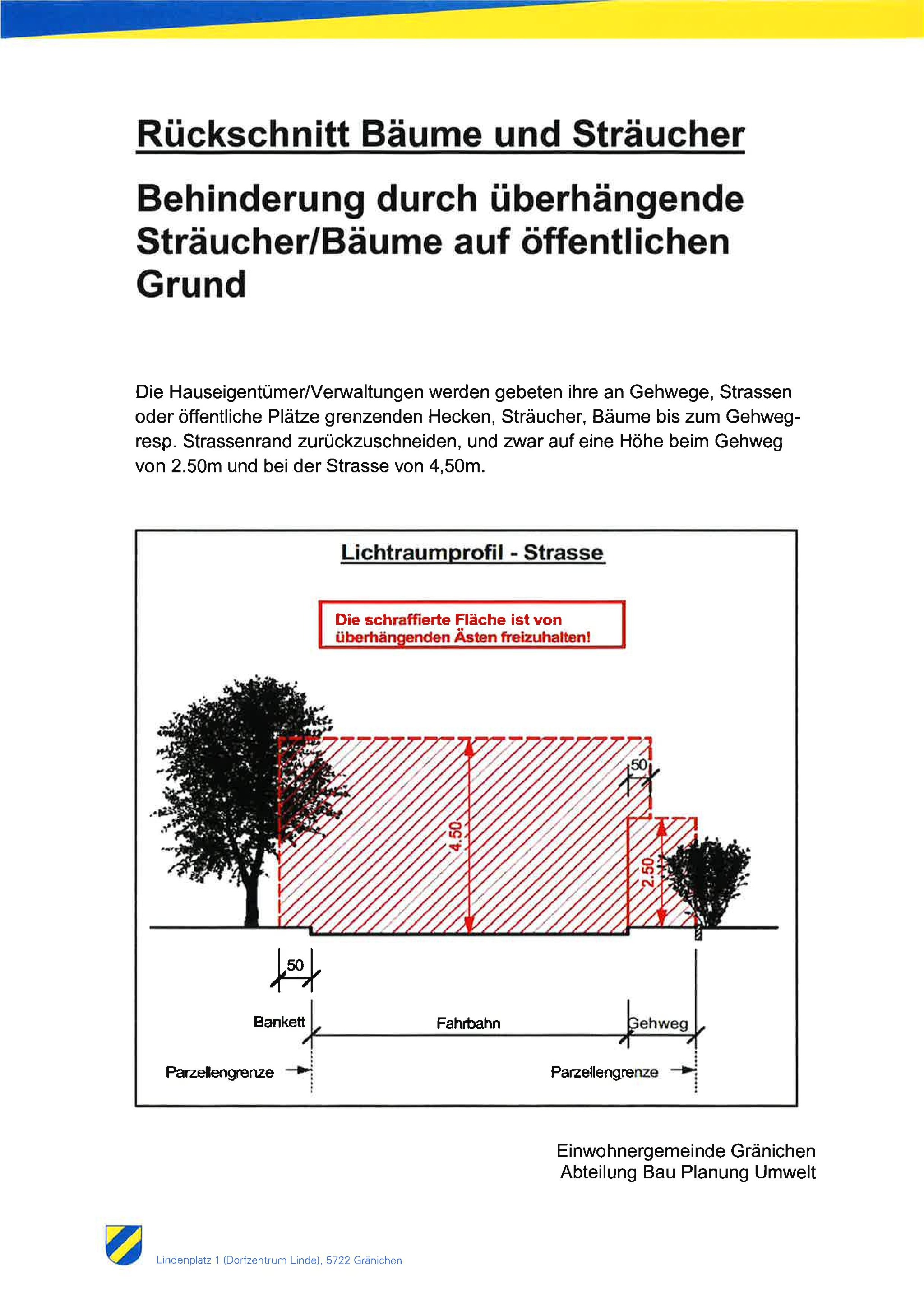 Rückschnitt Bäume und Sträucher