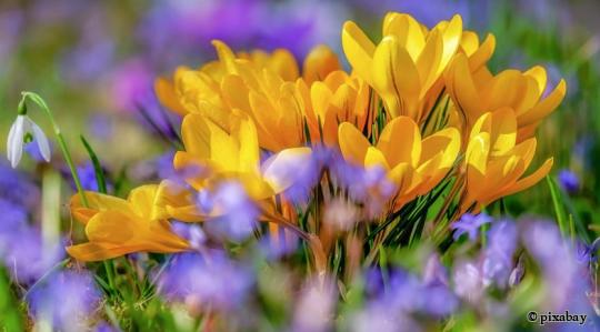 Ostern