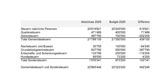 Steuerabschluss 2025