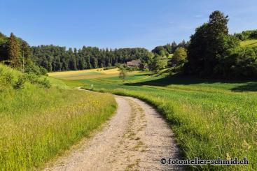 Naturpfad Schulthess