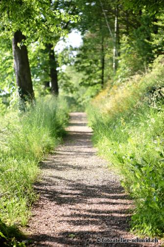 Erinnerungswald Rentnerweg