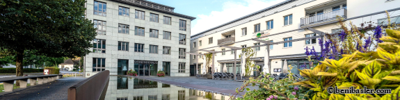 Banner Erinnerungswald Test2