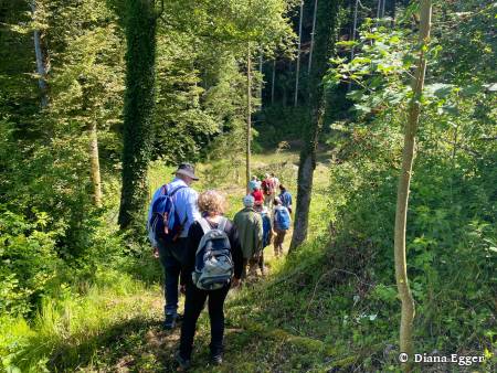 Naturpfad Schulthess