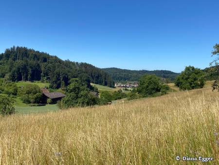 Naturpfad Schulthess