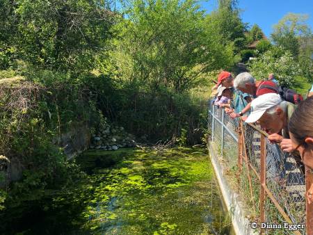 Naturpfad Schulthess
