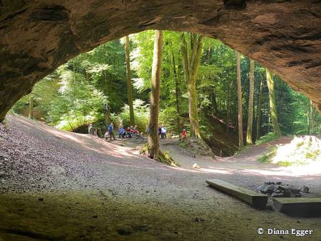 Naturpfad Schulthess