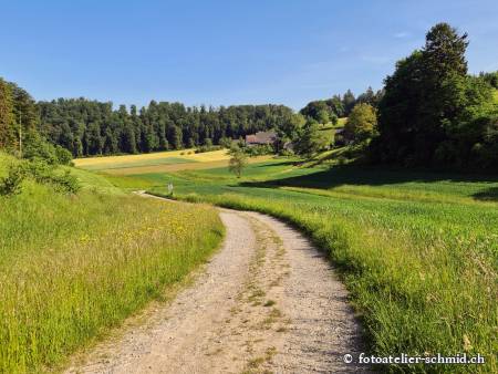 Naturpfad Schulthess