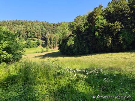 Naturpfad Schulthess