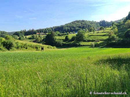 Naturpfad Schulthess