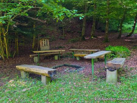 Naturpfad Schulthess