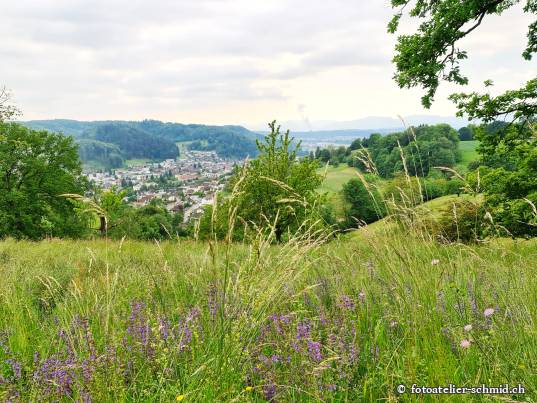 vom Fuden Richtung Dorf Gränichen